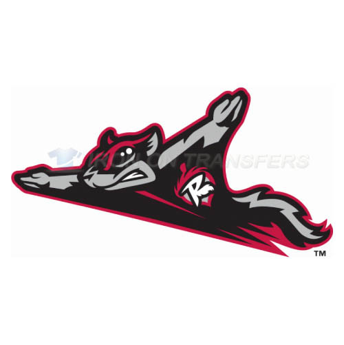 Richmond Flying Squirrels Iron-on Stickers (Heat Transfers)NO.7868